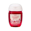 Antibacterial Hand Gel