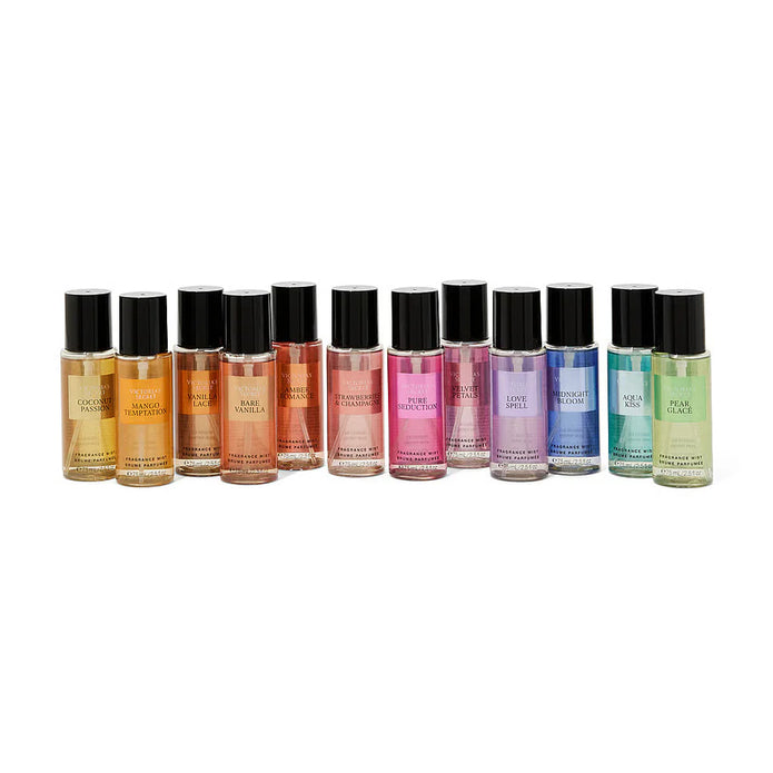 Ultimate Discovery Gift Set